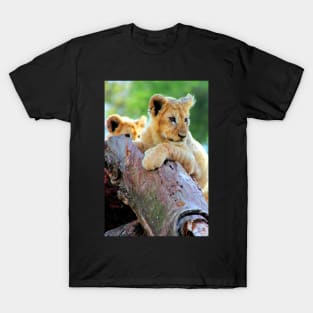 Lion Cubs at Play T-Shirt